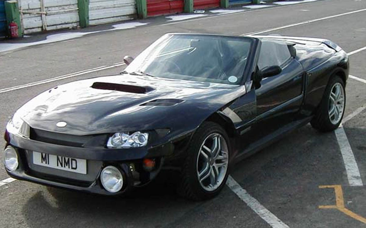 La vera storia della Delfino Feroce La vera storia della Delfino Feroce